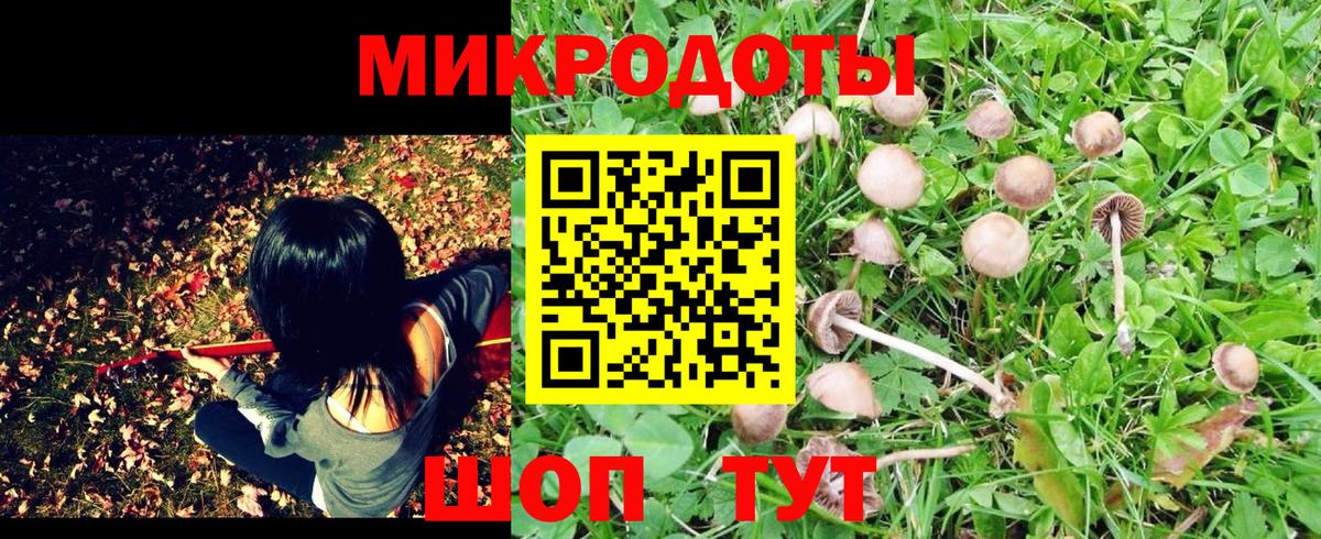 Галлюциногенные грибы ЛСД Сегежа